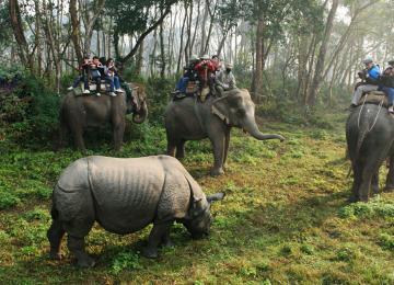 National Park 2